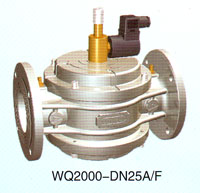 WQ2000-DN25A/FI늴y