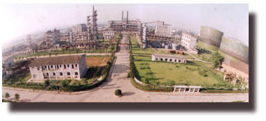 csgas.jpg (18801 字節)