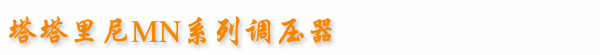 塔塔里尼MN系列彈簧負載式調壓器